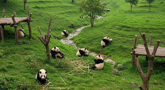 Chengdu